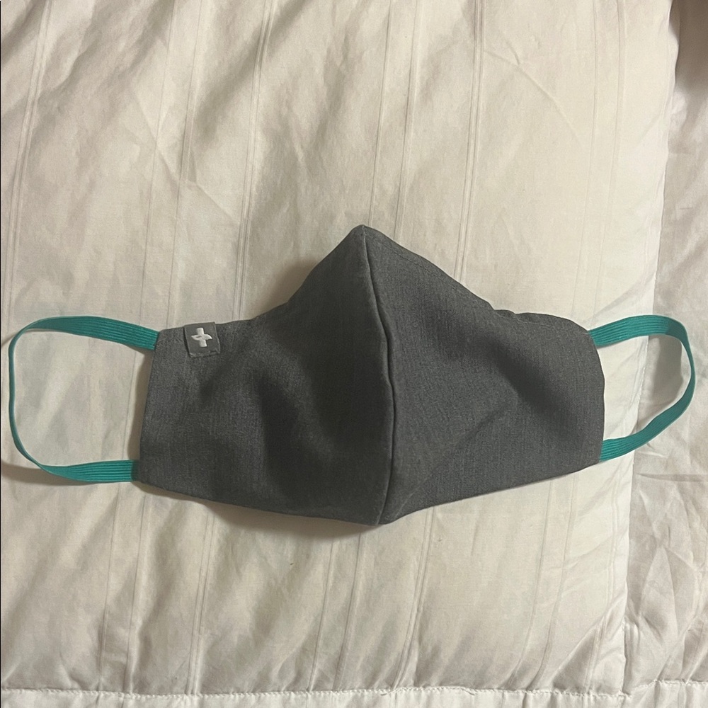 Figs cloth mask